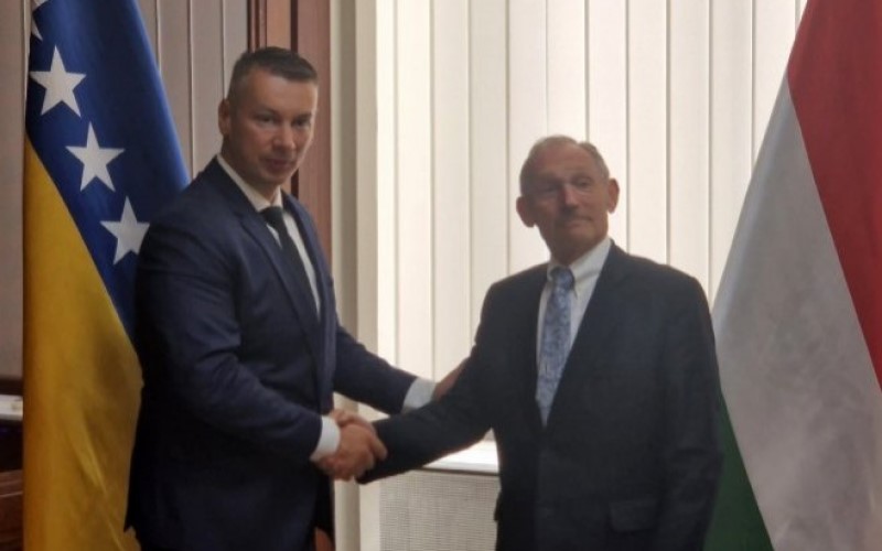 Nešić sa Pinterom: Zahvalnost Mađarskoj za glasanje protiv rezolucije o Srebrenici