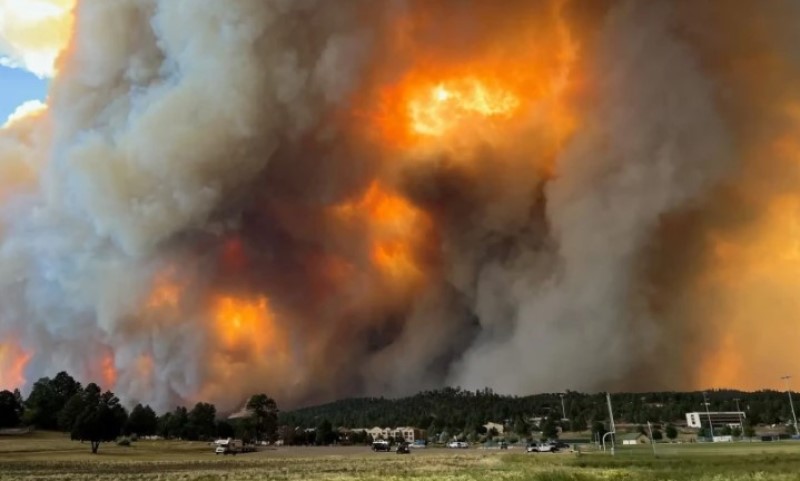 Vatra uništilila više od 1.400 kuća i drugih objekata: Dvije osobe poginule u šumskim požarima