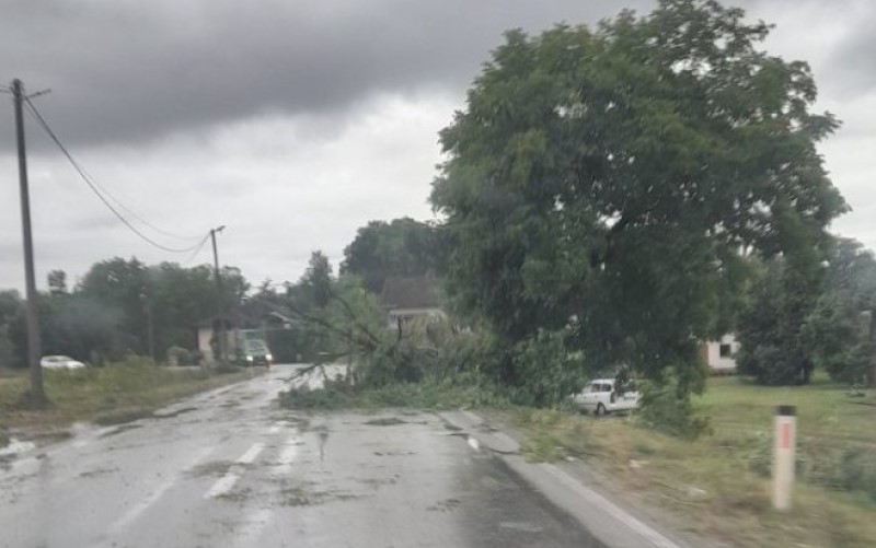Nevrijeme jutros zahvatilo Srbac: Oštećeni brojni krovovi, oborena stabla FOTO