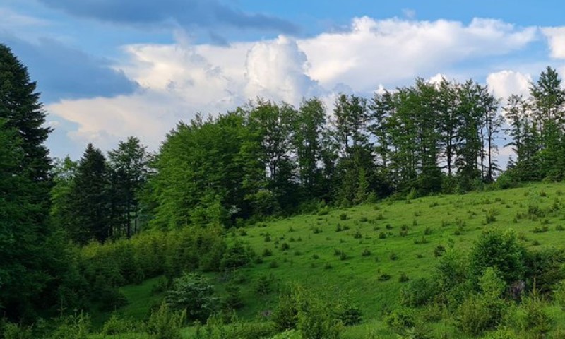 I kišobran, i sunčane naočare: Nastavlja se promjenljivo i nestabilno vrijeme širom BiH