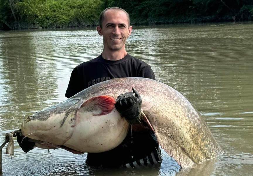 Brane upecao kapitalca: Džinovska riba duga dva metra i teška 80 kilograma