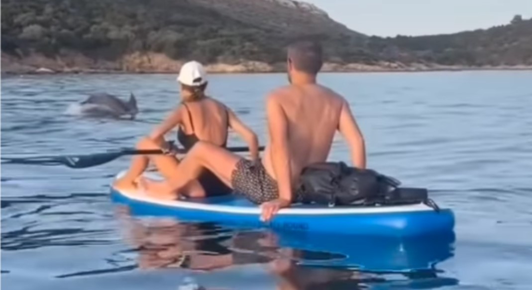 Prelijep prizor: Par veslao čamcem, a onda ih je jato delfina okružilo VIDEO