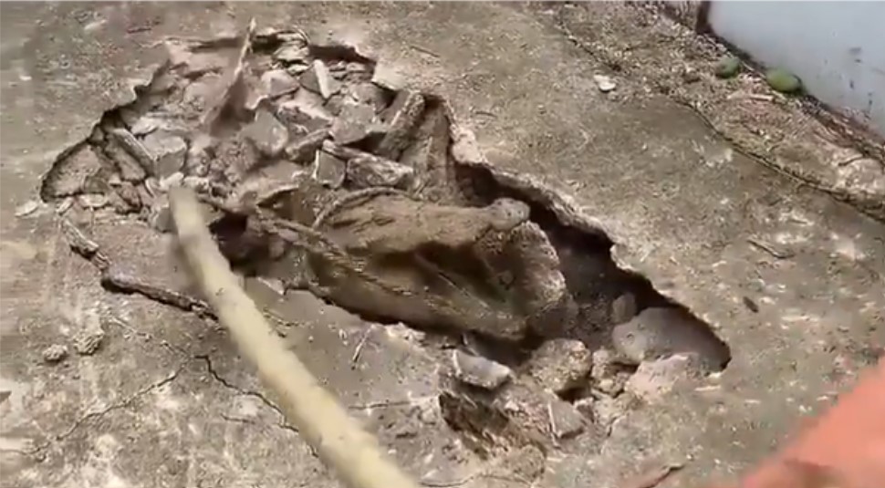 Ovo je nevjerovatno: Razbili trotoar pa “probudili” zvijer VIDEO