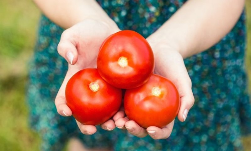 Riješena dilema: Evo koji je zdraviji, kuvani ili svježi paradajz