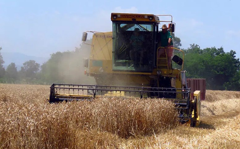 Resorni ministar sumirao: Tokom jeseni zasijano 66.000 hektara, pšenica dominantna