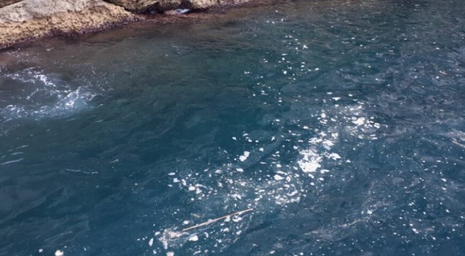 Stručnjaci objasnili ovu pojavu: Ružna pjena u moru zgrozila turiste u Hrvatskoj