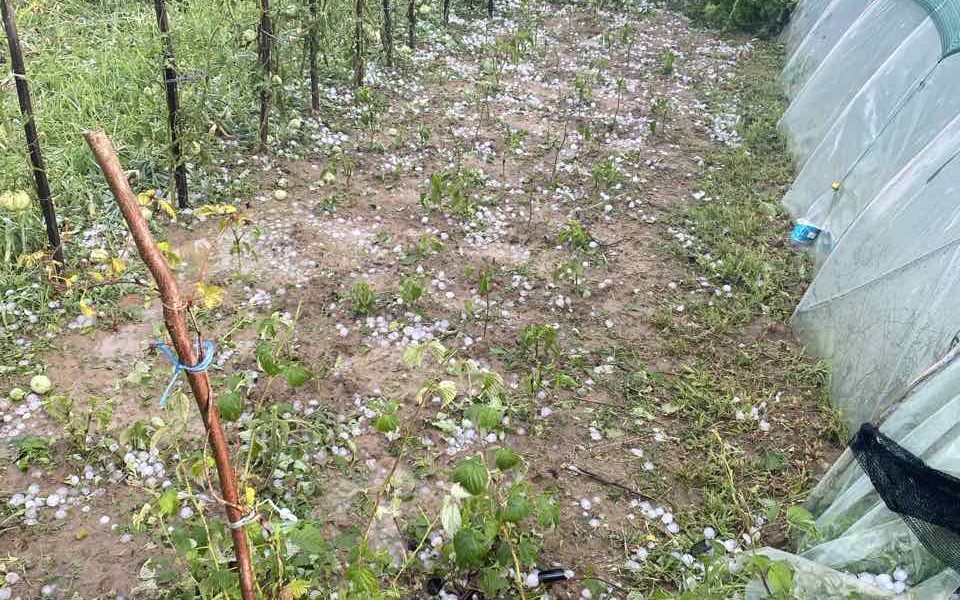 Normalizovano snabdijevanje električnom energijom u Kozarskoj Dubici: Građani prijavljuju štete FOTO