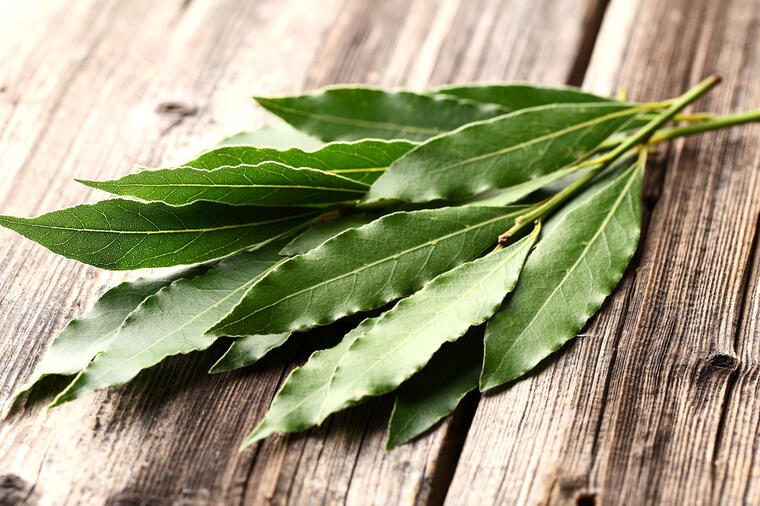 Nije samo začin: Lovorov list vam može pomoći pri pranju odjeće
