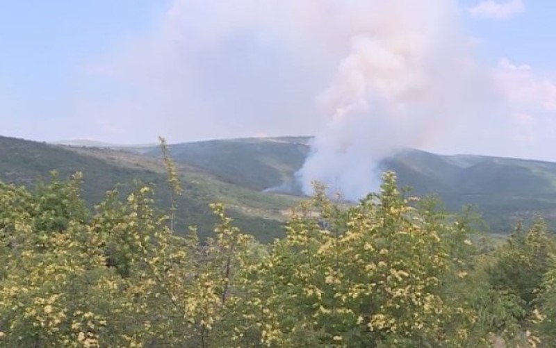 Komandir Vatrogasne jedinice potvrdio: Požar kod Ljubinja u potpunosti saniran