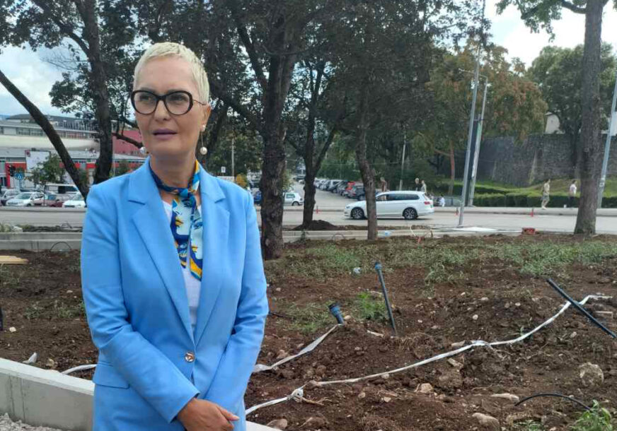 Predstavnica SNSD-a oplela po gradskoj vlasti: “Banjaluka više nije grad zelenila, nego betona”