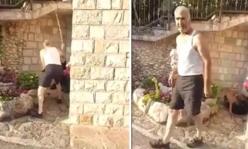 Brutalno pretučen prije sedam dana! Pas Bleki dobio svoj novi dom: “Prepun je straha” FOTO