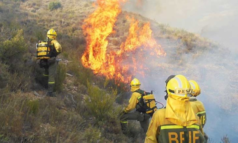 Primorao 135 osoba da se evakuišu: Uhapšen vatrogasac zbog podmetanja požara