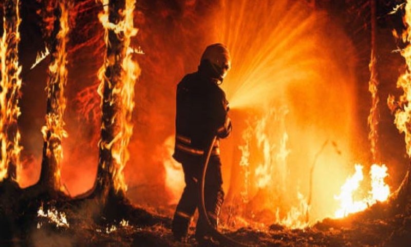 Najmanje 20 osoba izgubilo život: Šumski požari uništili čitava naselja