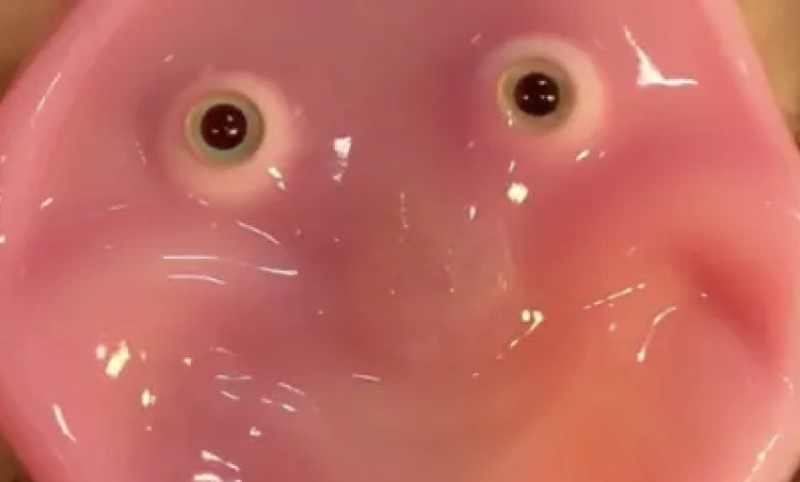 Zavidan uspjeh! Japanski naučnici uspjeli da naprave robota koji ima lice sa osmijehom