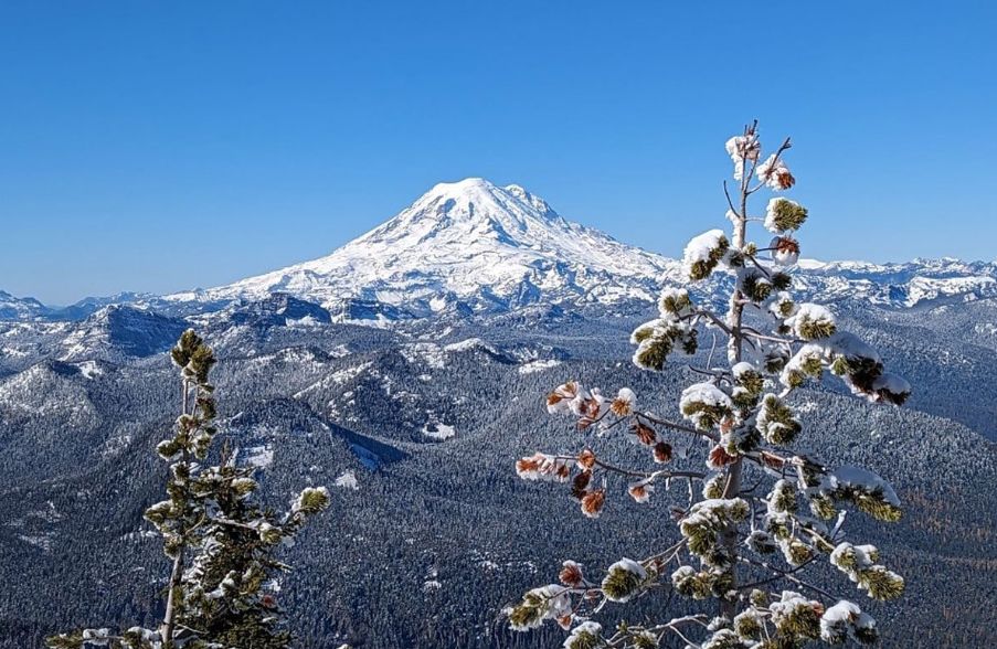 Više od pola metra snijega palo na jugoistoku Australije