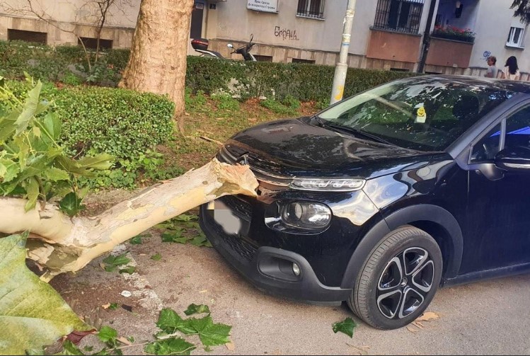 Intervenisali vatrogasci: Ogranak zdravog stabla pao i oštetio automobil u Banjaluci