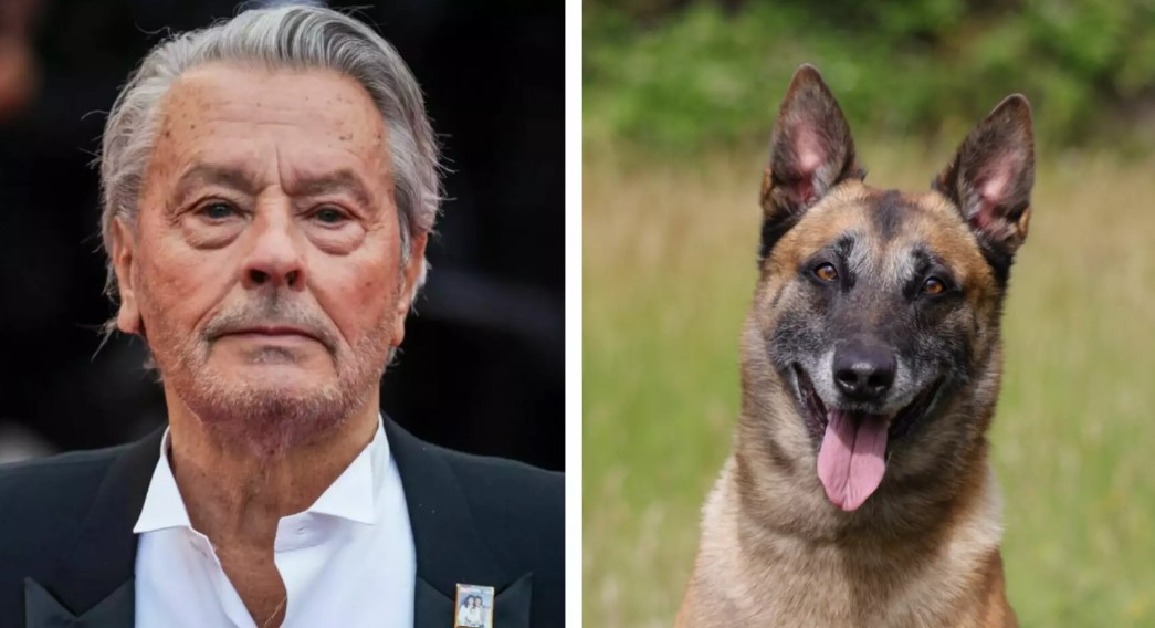 Odbili da ispune želju: Porodica Alena Delona neće uspavati psa