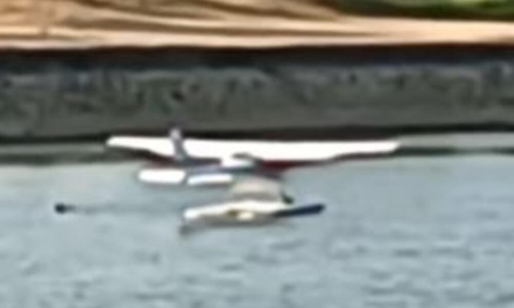 Posmatrači ostali u čudu: Beograđanin avionom sletio na Savu, okupao se pa odletio VIDEO