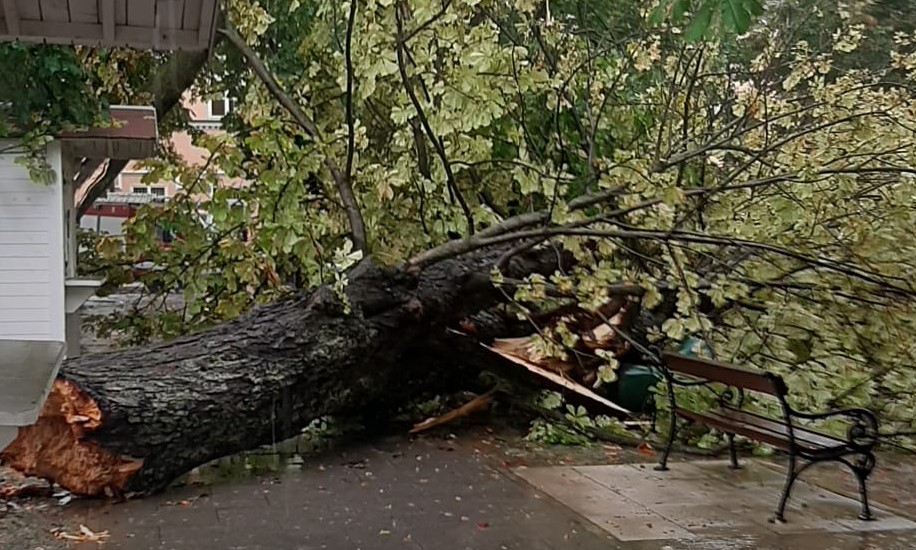 Vjetar čupao stabla: Snažna oluja zahvatila dio Hrvatske FOTO