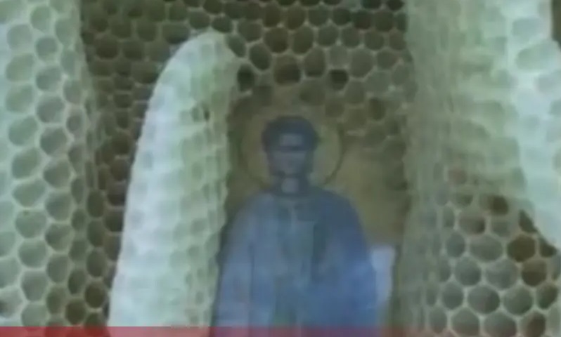 Nevjerovatan fenomen: Pčelar stavio pravoslavne ikone u košnicu, evo šta se desilo VIDEO