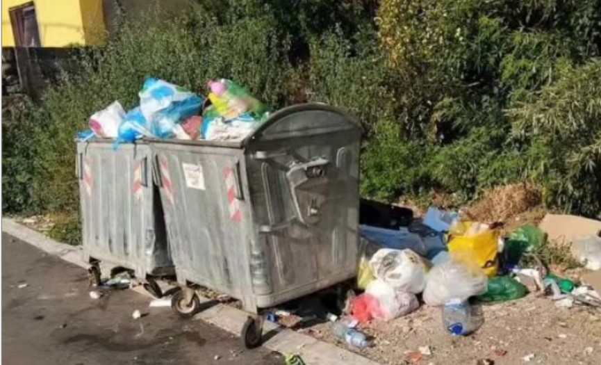 Potresan prizor naljutio mnoge: Tek rođeni štenci bačeni FOTO