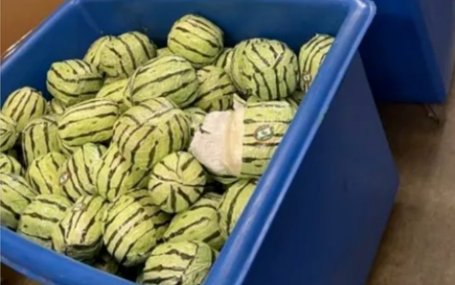 Kamioni zaustavljeni: U lubenicama krijumčareno više od dvije tone droge