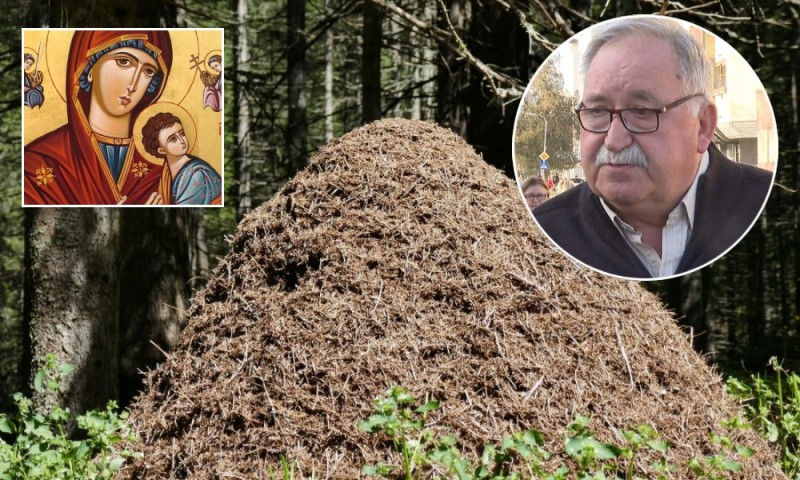 Kakvo je vrijeme na Gospojinu takva je i jesen: Kuštrinović podsjeća kako se po mravinjaku prognozira zima