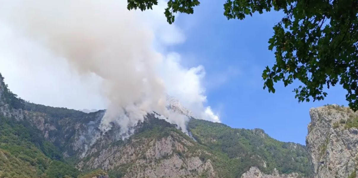 Predviđeno oko pet miliona KM: Saniranje opožarenih površina u Srpskoj će biti prioritet