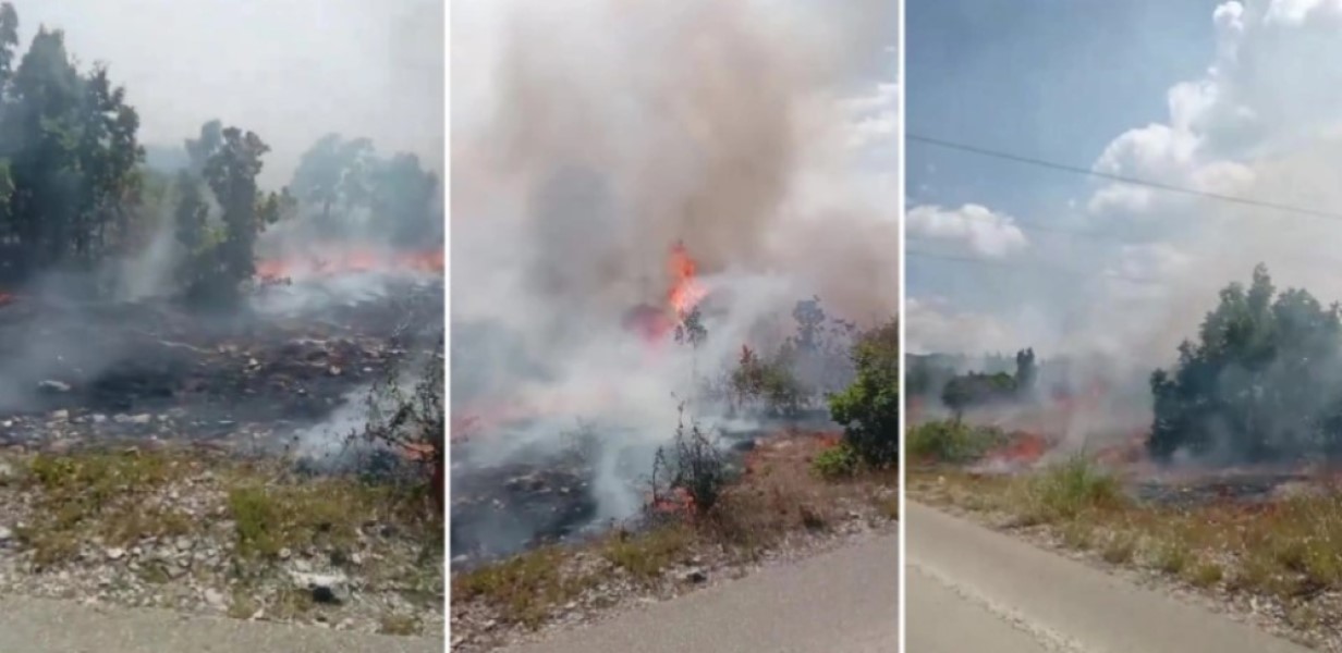 Vatrena stihija ne staje: Požar kod Bileće i dalje aktivan, vatra krenula prema Crnoj Gori VIDEO