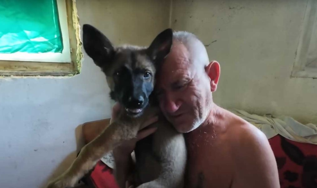 Ima 37 maraka penzije, a bolnicu odbio zbog psa: Tužna priča Stanka iz Žepča VIDEO