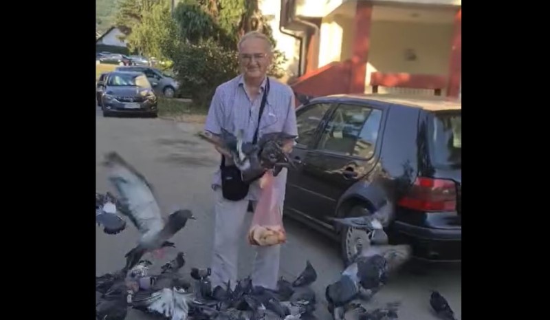 Ptice strpljivo čekaju Stipu: Banjalučanin svakodnevno hrani golubove VIDEO