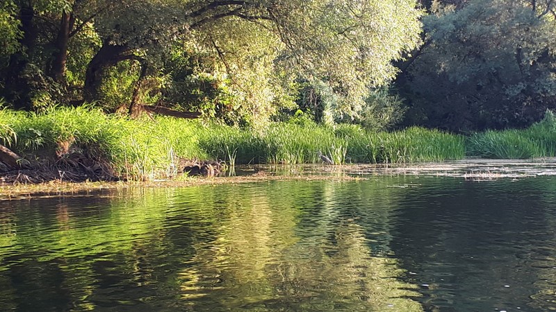 Tuga u BiH! Ovo je tinejdžer koji se utopio u rijeci Uni FOTO