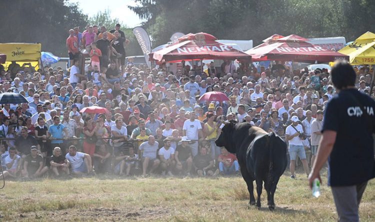 Jagnjetina 50 KM, pivo sedam KM: Sve je spremno za posljednji dan 60. Kočićevog zbora VIDEO