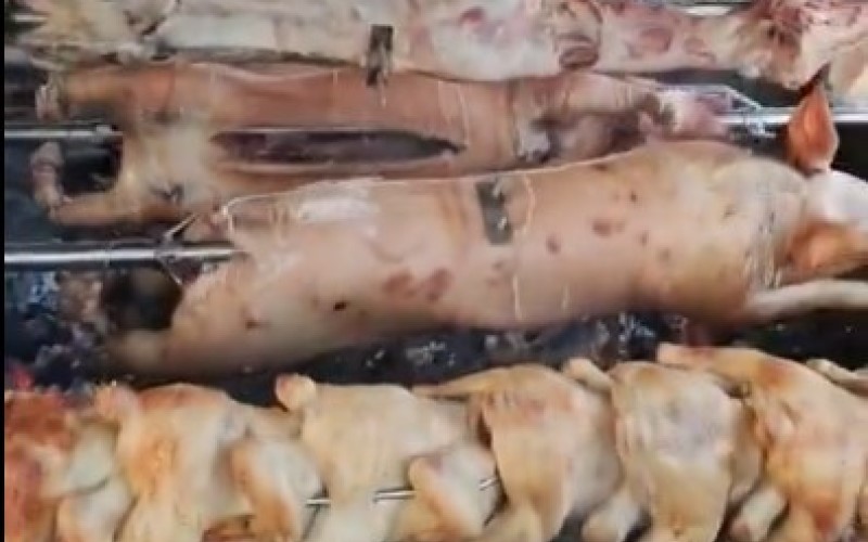 Pivo se pije u hektolitrima: Evo kakve su cijene pečenja na Kočićevom zboru VIDEO