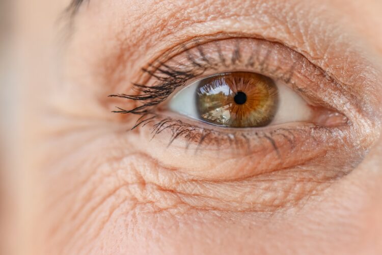 “Prima” pomaže: Elektronski implantat vraća ljudima vid