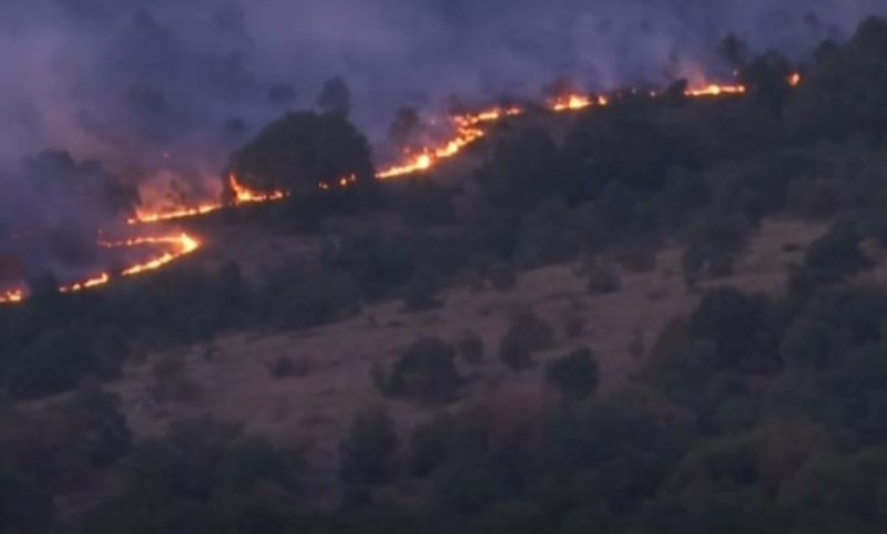 Vatra se približila kućama, mještani prave prepreke: Bukti požar na planini Vidlič kod Pirota