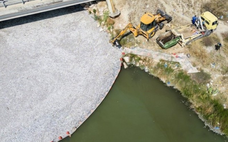 Tužan prizor u Grčkoj: Stotine hiljada uginulih riba zatrpale turističko mjesto VIDEO