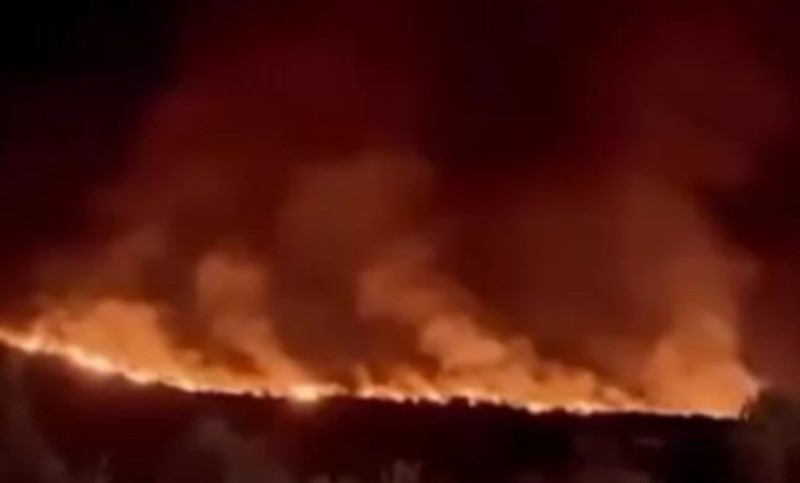 Vatra se tokom noći približila kućama: Požar u Reževićima kod Budve pod kontrolom