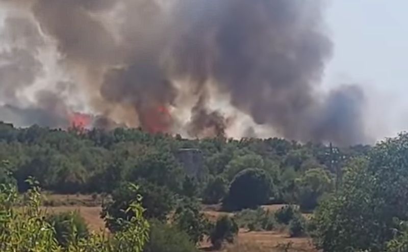Voz izazvao niz požara u Hrvatskoj, gori nisko rastinje i borova šuma VIDEO