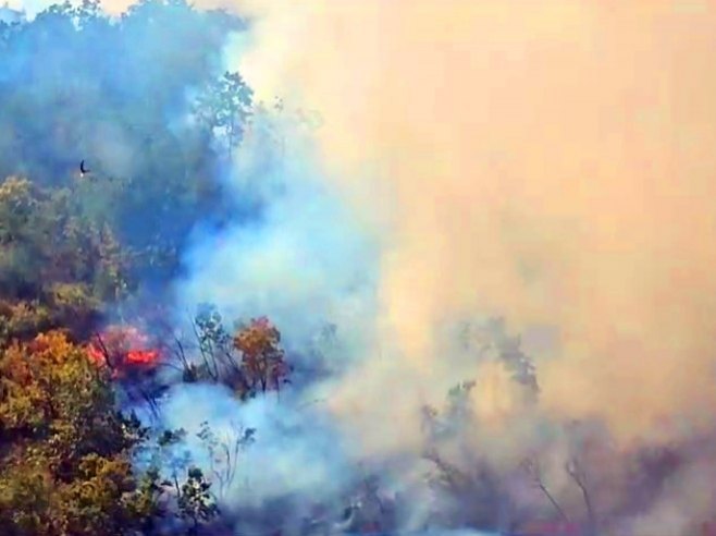 Aktivirao se požar kod Berkovića, gori nepristupačan teren