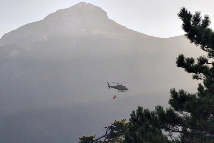 Jakšić potvrdio: Proširio se požar na području NP „Sutjeska“