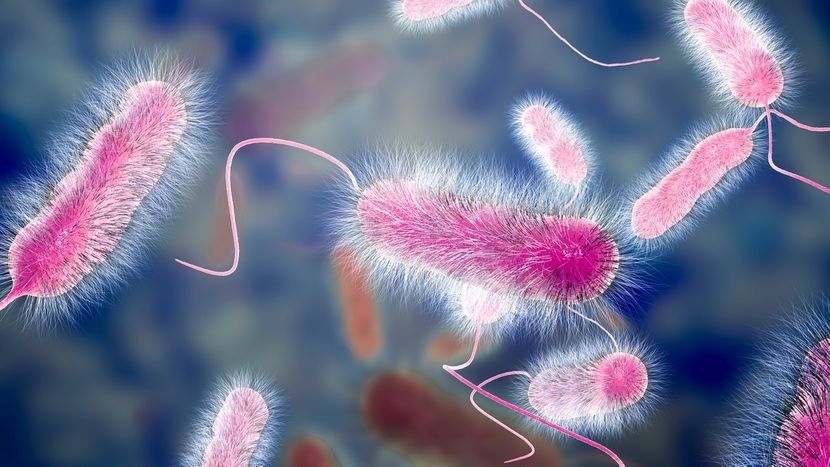 Epidemija traje mjesecima: Troje mrtvih, zarazili se legionarskom bolešću, simptomi liče na grip