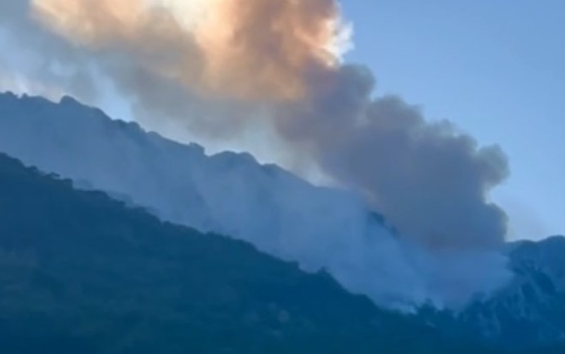 Gori stoljetna crnogorična šuma: Požar na Zelengori i dalje aktivan