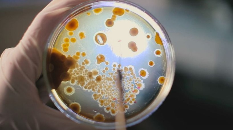 Rekordan broj slučajeva raka u Britaniji: Dijagnostikuje se na svakih 80 sekundi