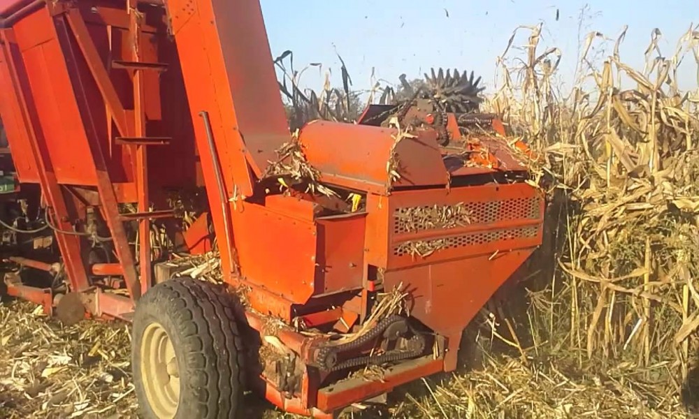 Horor u dvorištu kuće: Berač kukuruza muškarcu zahvatio obje ruke