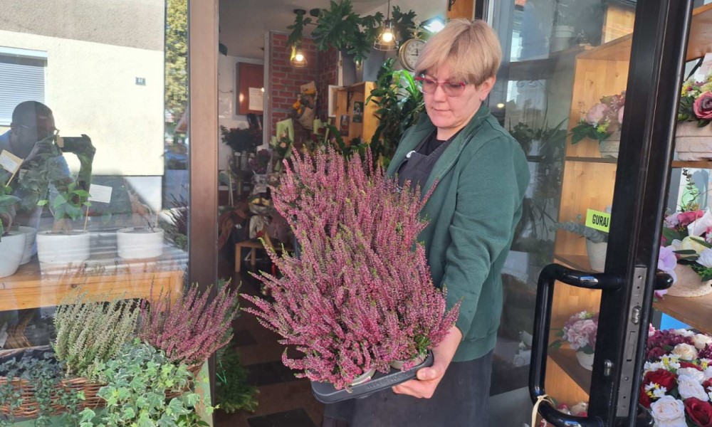 Kupuje li se i u Banjaluci “kraljica zime”? Evo šta nam je otkrila poznata cvjećarka FOTO