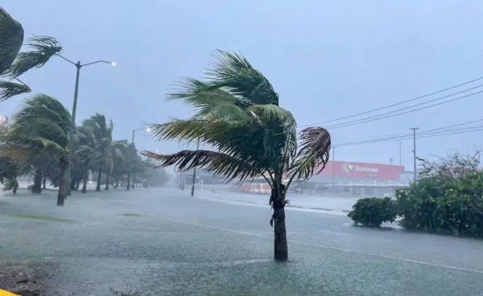 Sve strahote uragana: Aligator iskočio iz vode dok je čovjek ulazio u automobil VIDEO