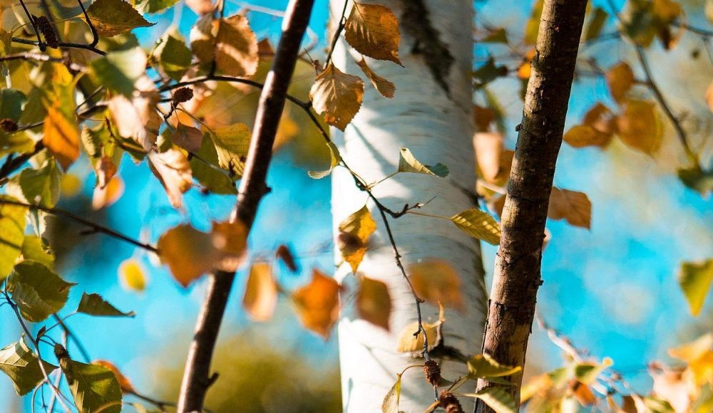 Ugodan početak jeseni: Septembar 2024. drugi najtopliji u istoriji