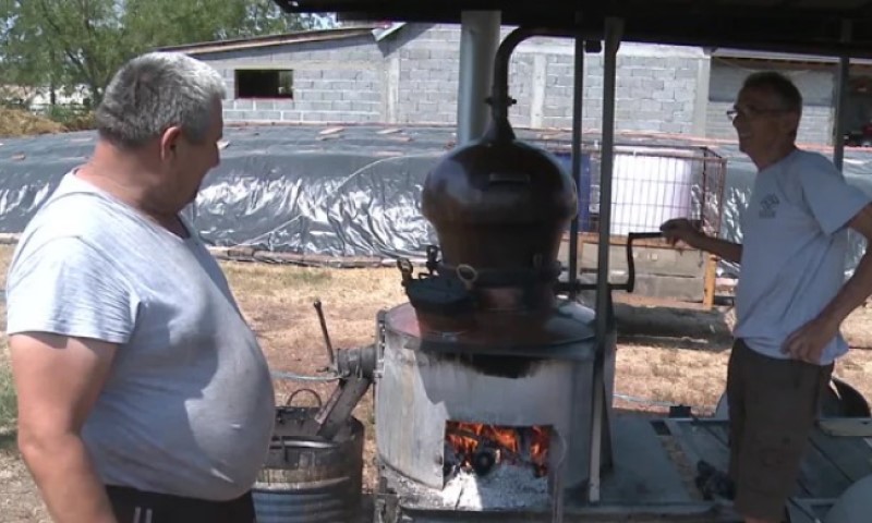 ”Vesela mašina” radi punom parom: U Semberiji i na Majevici u toku pečenje rakije