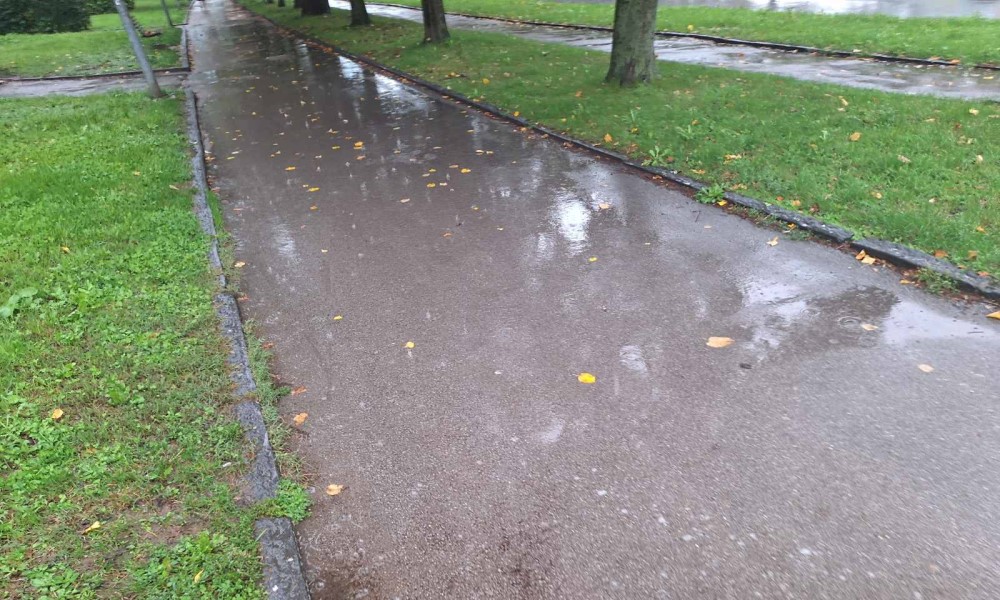 Maksimalna temperatura do 15 stepeni: Danas pretežno oblačno sa slabom kišom